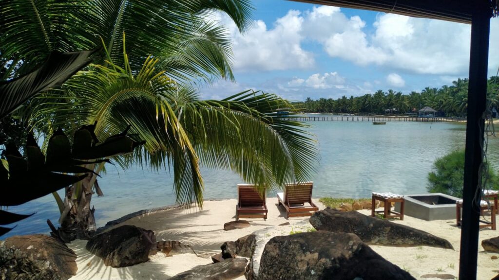 Des transats installé pour juste pour vous 