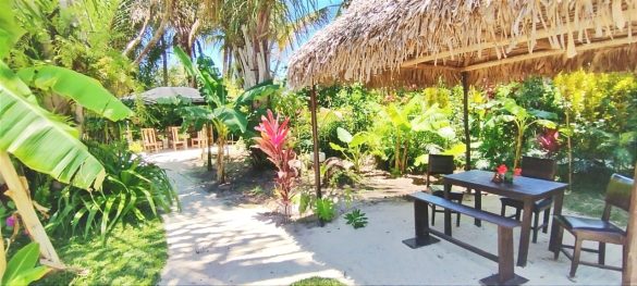 Jungle bar
